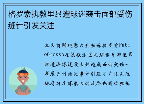 格罗索执教里昂遭球迷袭击面部受伤缝针引发关注